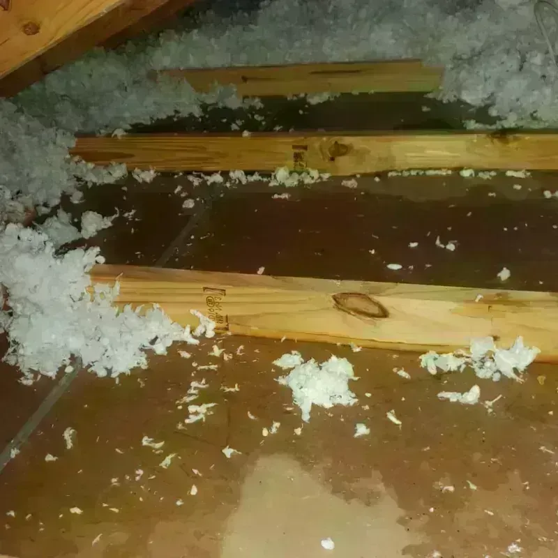 Attic Water Damage in Hiram, OH