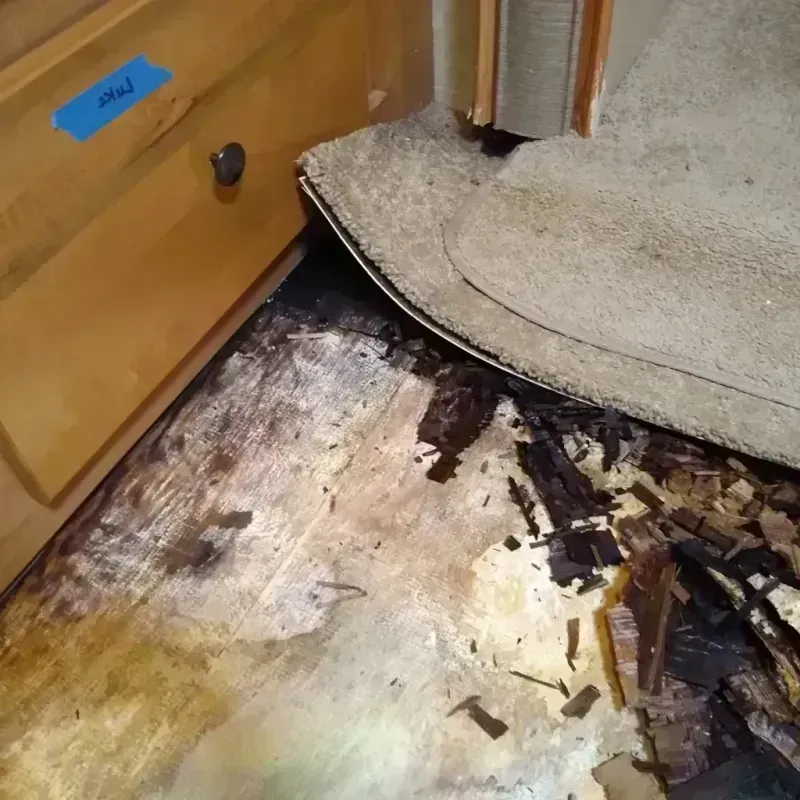 Wood Floor Water Damage in Hiram, OH